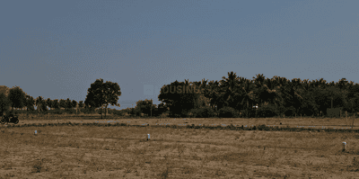 Project Images