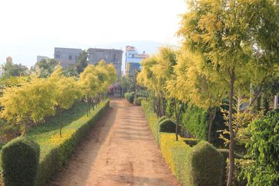 ESS And ESS JSS 4th Stage Block C Landscape Garden and Tree Planting 1