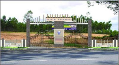 Kristal Morganite Images for Elevation of Kristal Morganite 1