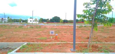 Sizzle Varada Sizzle Evergreen Elevation 2