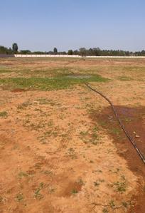 Project Image of 750.0 - 2600.0 Sq.ft Residential Plot Plot for buy in Sathish Lush Springs