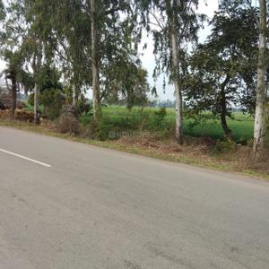 Project Image of 450.0 - 10350.0 Sq.ft Residential Plot Plot for buy in Shubham Jewar City
