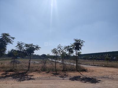 SS HDMA Plots Elevation 1