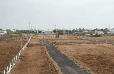 Project Images