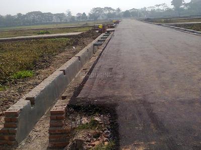 Project Image of 1400.0 - 7795.0 Sq.ft Residential Plot Plot for buy in Cosmos Green City