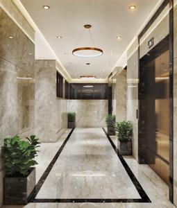Project Image of 234.22 - 423.35 Sq.ft 1 RK Apartment for buy in Mali Pinnacle