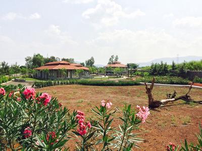 Project Image of 1800.0 - 3875.0 Sq.ft Residential Plot Plot for buy in Alliance Woodwinds
