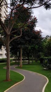 Project Image of 745.72 - 1012.02 Sq.ft 1 BHK Apartment for buy in Sobha Dream Acres Tropical Greens Phase 20 Wing 18