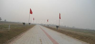 Project Image of 1076.0 - 5382.0 Sq.ft Residential Plot Plot for buy in Ansal Palm County