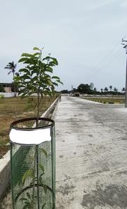 Project Images
