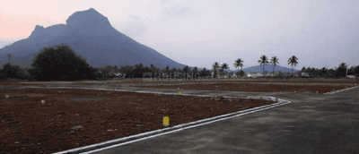 Project Images