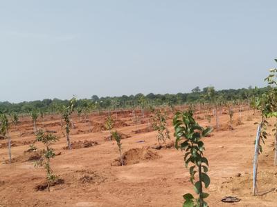 Project Image of 2178.0 - 7623.0 Sq.ft Residential Plot Plot for buy in Silpa Vanadhara