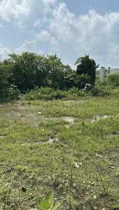 Project Image of 642.17 - 1311.91 Sq.ft Residential Plot Plot for buy in Aura Eden Villas