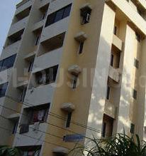 Gallery Cover Pic of Plama Diamond