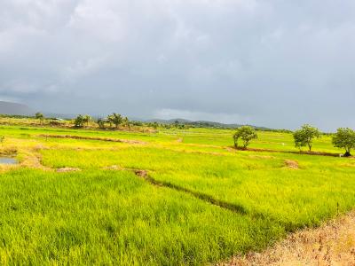 Project Image of 1000.0 - 10000.0 Sq.ft Residential Plot Plot for buy in Capstone Land Plots In Vindhane