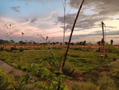 Project Image of 750.0 - 2600.0 Sq.ft Residential Plot Plot for buy in Sathish Lush Springs