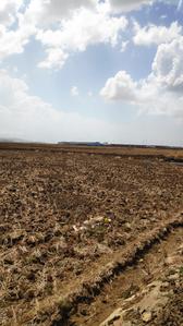 Plotwale Ranjanpada Plot 1