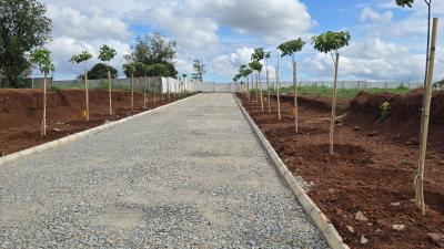 Project Image of 1350.0 - 4903.07 Sq.ft Residential Plot Plot for buy in Urban Grove