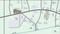 Vardhaman Building No 5 Vardhaman Vatika Phase II Location Plan 2