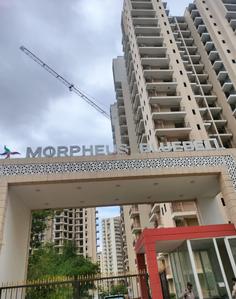 Morpheus Bluebell Elevation 1