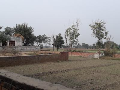 Project Image of 450.0 - 2916.0 Sq.ft Residential Plot Plot for buy in SS Shri Ram Vatika