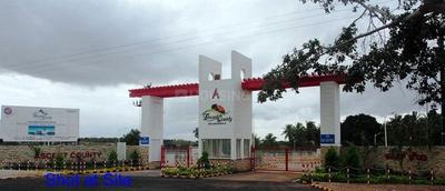 Project Image of 1200.0 - 4000.0 Sq.ft Residential Plot Plot for buy in Ascent County
