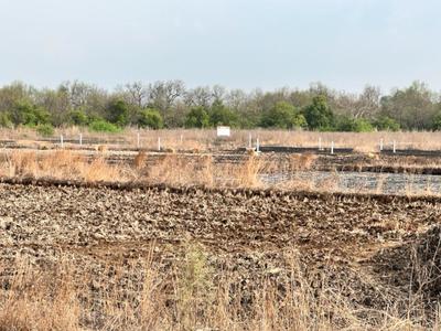 Golden Residential Plots In Belondakhar Near Mumbai Trans Harbour Link Bridge Plot 1