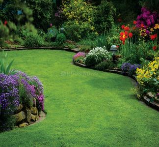 Siddharth Hills View Landscape Garden and Tree Planting 1