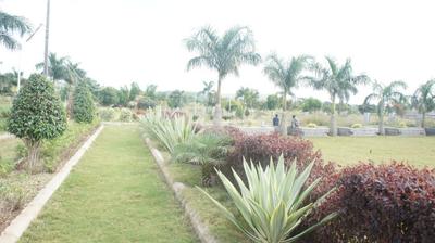 Project Image of 2000.0 - 9749.0 Sq.ft Residential Plot Plot for buy in Midmac Palm Meadows