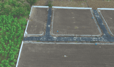 Project Images