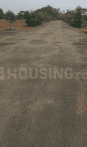 Project Images
