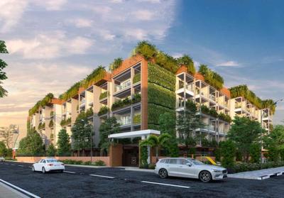 Project Image of 1227.0 - 2728.0 Sq.ft 2 BHK Apartment for buy in Ista Olive And Oak