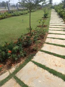 Project Image of 1027.42 - 1448.07 Sq.ft Residential Plot Plot for buy in Aikyam Emerald Grove