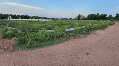 Project Image of 1393.5 - 4358.63 Sq.ft Residential Plot Plot for buy in DR Jagananna Smart Township Palavalasa Vmrda