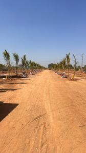 Project Image of 1350.0 - 1800.0 Sq.ft Residential Plot Plot for buy in AVM Keertika Farms