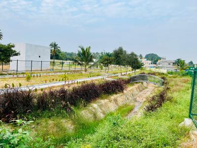 Project Image of 1200.0 - 2400.0 Sq.ft Residential Plot Plot for buy in Arohana Serenity