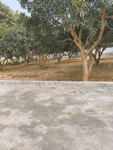 Project Image of 1000.0 - 2500.0 Sq.ft Residential Plot Plot for buy in Royal Raitha City