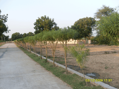 Project Image of 2781.0 - 7452.0 Sq.ft Residential Plot Plot for buy in Shree Gayatri Satyamev Chhavani VII