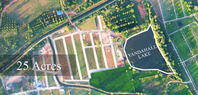 Project Image of 1163.0 - 2325.0 Sq.ft Residential Plot Plot for buy in Saha Meadows