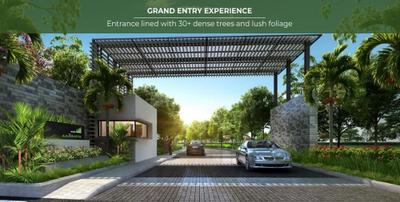 Project Images