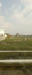 Project Image of 600.0 - 2400.0 Sq.ft Residential Plot Plot for buy in Royal Temple City
