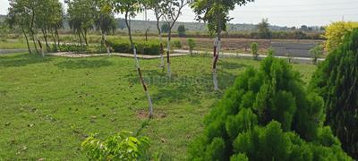 Project Image of 590.0 - 1500.0 Sq.ft Residential Plot Plot for buy in Fortune Golden Panorama