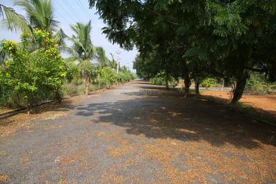 Project Image of 1494.0 - 2403.0 Sq.ft Residential Plot Plot for buy in Siri Venkateswara Balaji Hill County