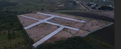 Project Images