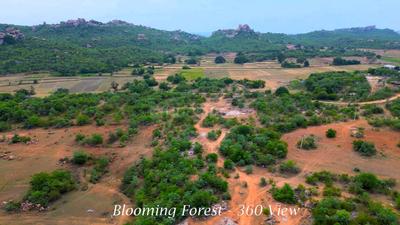 Project Image of 2199.5 - 6772.33 Sq.ft Residential Plot Plot for buy in Aliens Hub