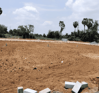 Project Image of 480.0 - 1767.0 Sq.ft Residential Plot Plot for buy in Dhilli Jai Avenue