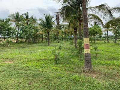 Project Image of 1200.0 - 2352.0 Sq.ft Residential Plot Plot for buy in Sri Arunachaleswarar Nagar