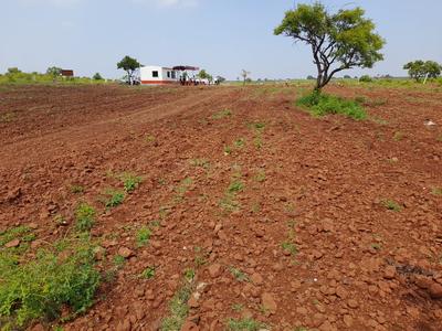 Project Image of 5445.0 - 21780.0 Sq.ft Residential Plot Plot for buy in Swarna Boomi The Plam Valley