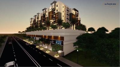 RR Tropicana Images for Project 1