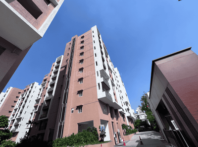 Vertex Pristine Elevation 2